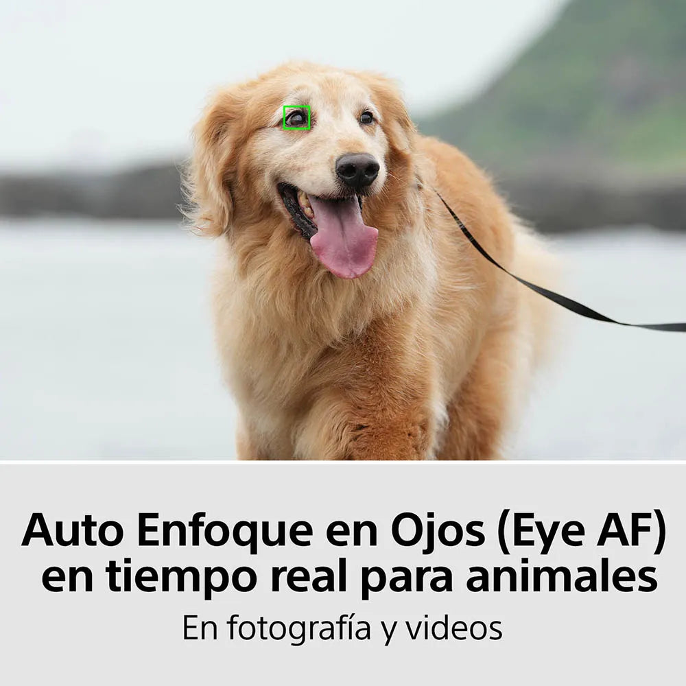 Cámara profesional híbrida Alpha a7 IV Full Frame Mirrorless | ISO 204800 | BionzXR | ILCE-7M4